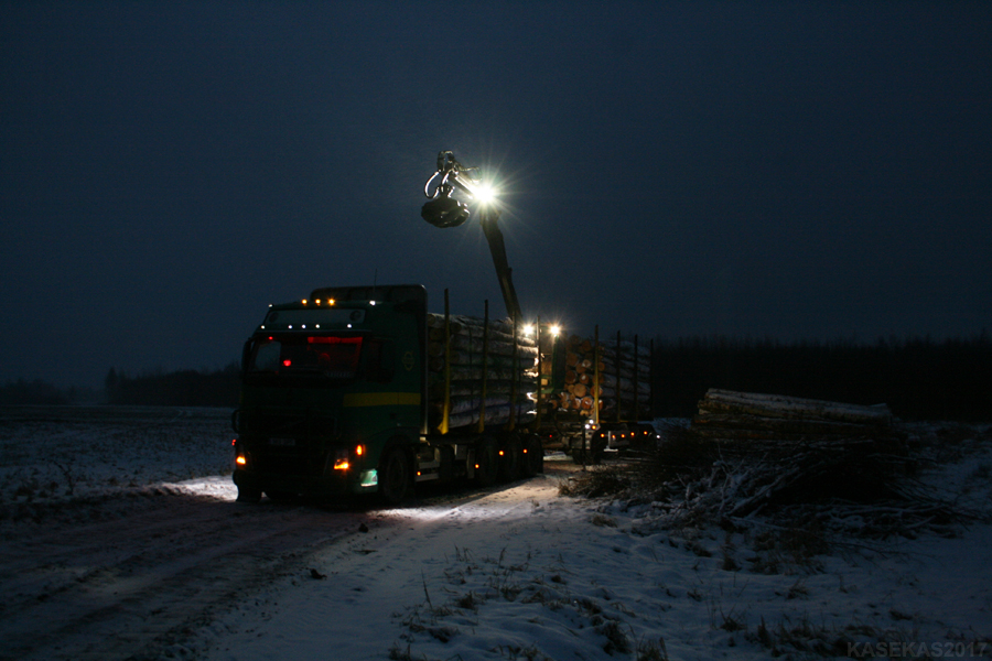 Volvo FH 16 660 kasekas 583BPF metsasemu